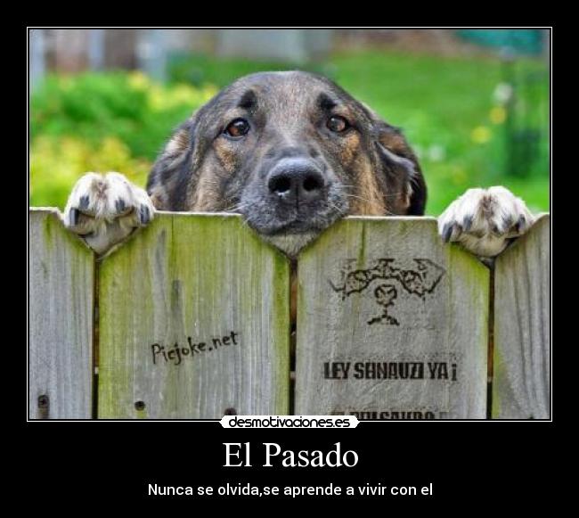 El Pasado - 