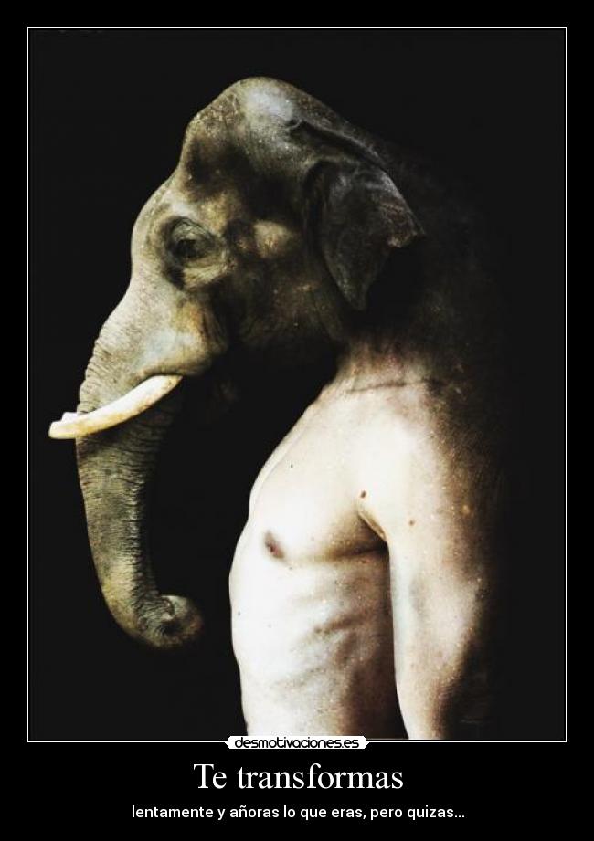 Te transformas -