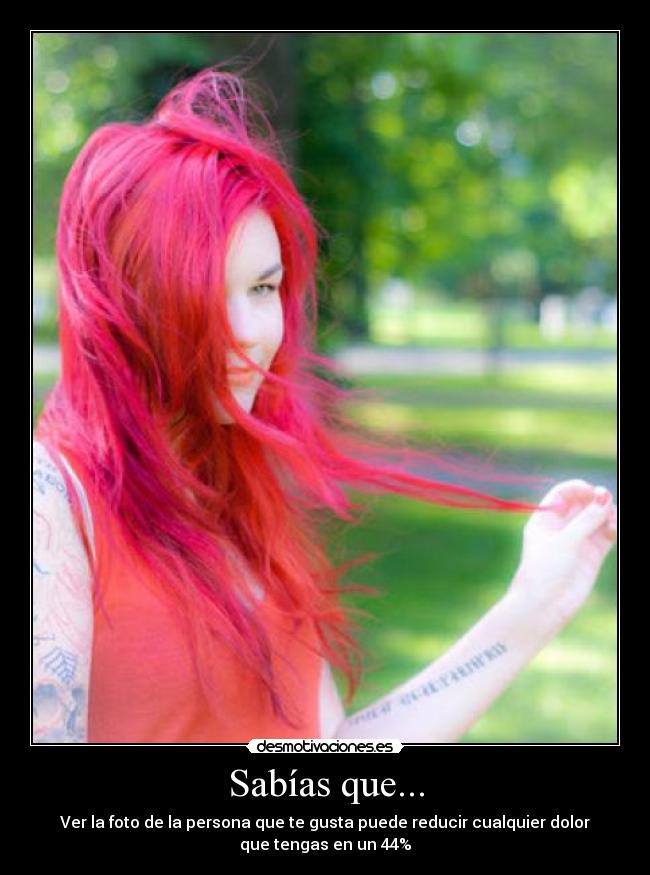 Sabías que... - Ver la foto de la persona que te gusta puede reducir cualquier dolor
que tengas en un 44%
