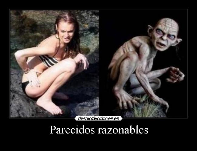 Parecidos razonables - 