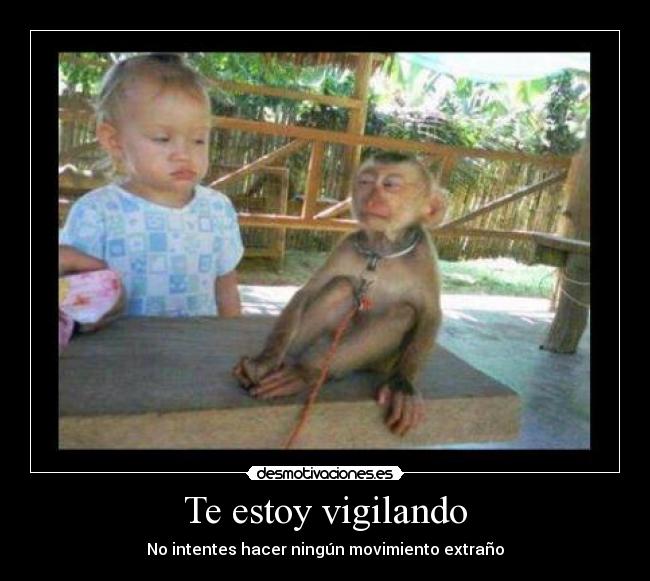 Te estoy vigilando - No intentes hacer ningún movimiento extraño
