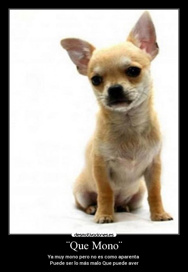 carteles que mono desmotivaciones