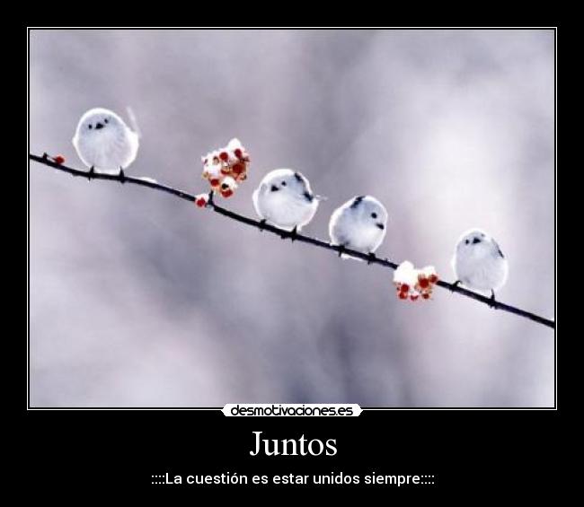Juntos -