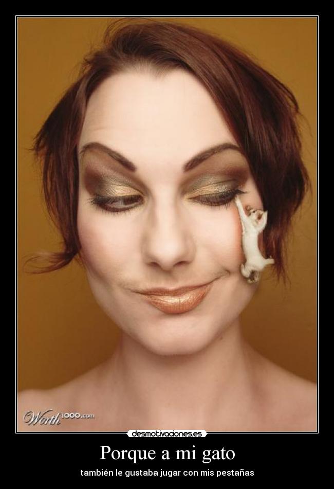 Porque a mi gato - también le gustaba jugar con mis pestañas