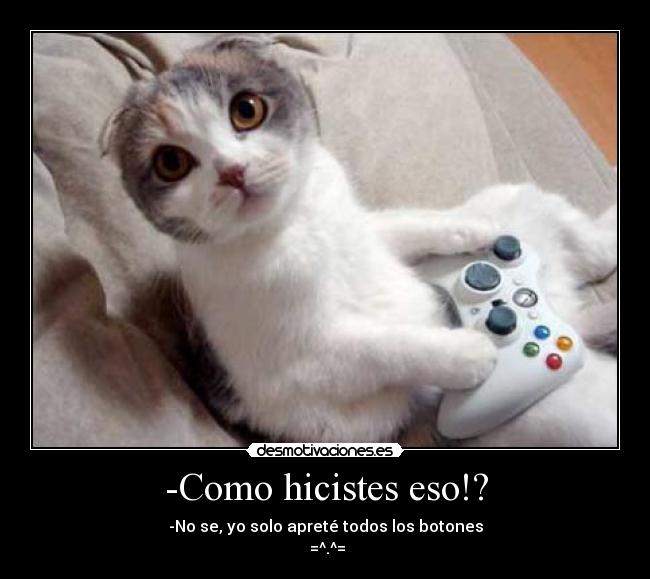 carteles gato desmotivaciones