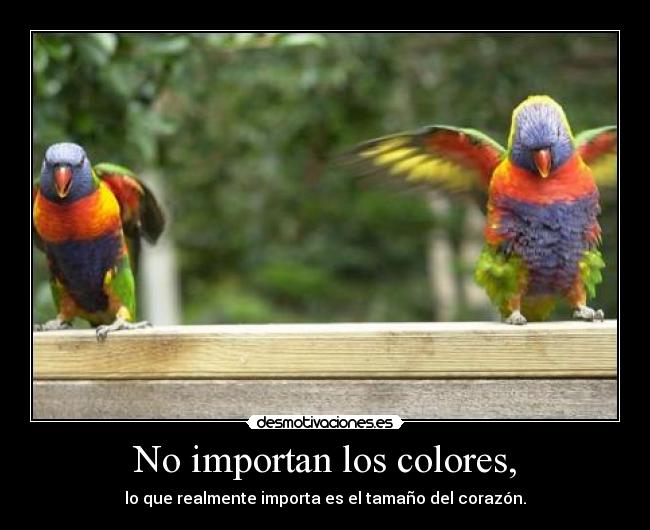 No importan los colores, -