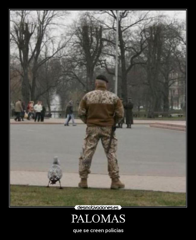 PALOMAS - que se creen policias