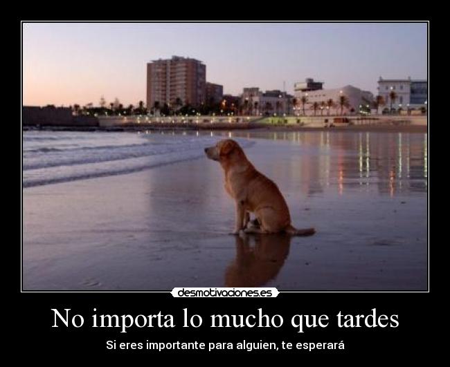 No importa lo mucho que tardes - 