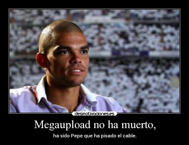 Megaupload no ha muerto, -