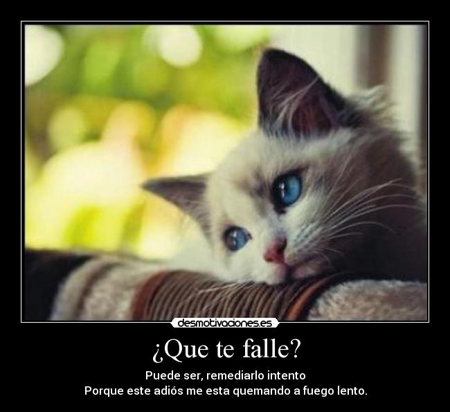 ¿Que te falle? - Puede ser, remediarlo intento
Porque este adiós me esta quemando a fuego lento.