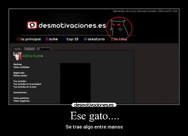 Ese gato.... -