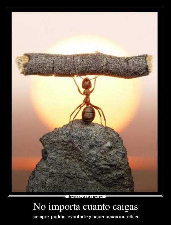 No importa cuanto caigas - siempre podrás levantarte y hacer cosas increíbles
