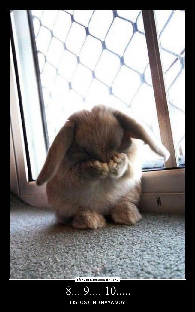 8... 9.... 10..... - LISTOS O NO HAYA VOY