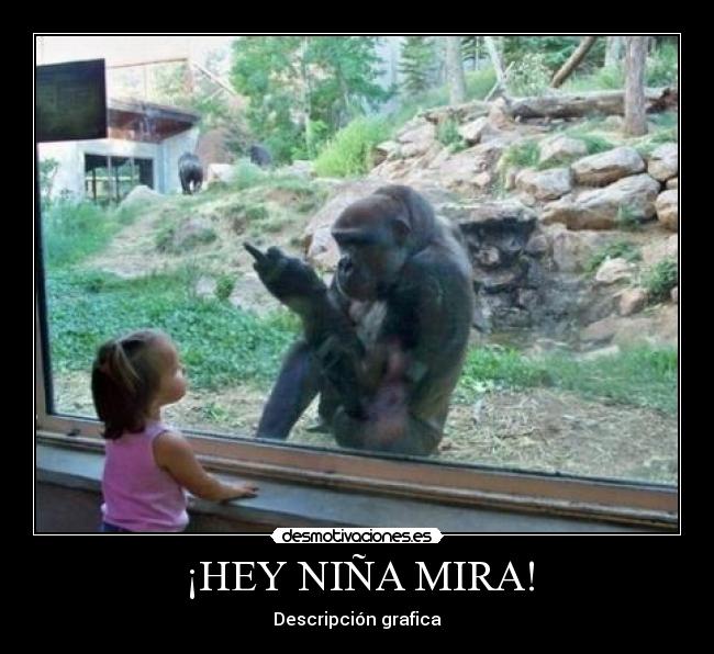 ¡HEY NIÑA MIRA! - Descripción grafica