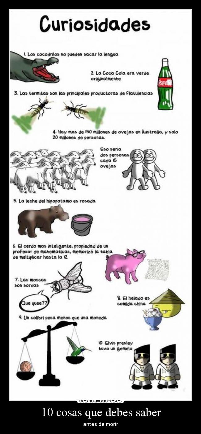 10 cosas que debes saber - antes de morir