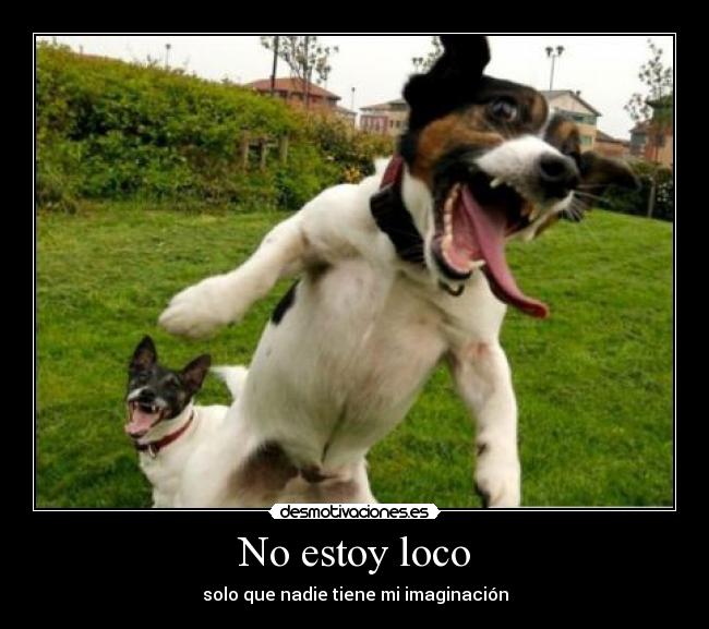 No estoy loco - solo que nadie tiene mi imaginación