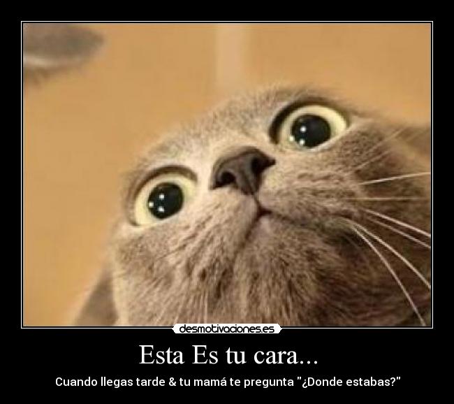 Esta Es tu cara... - 