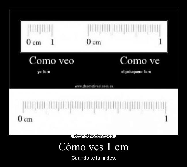 Cómo ves 1 cm - Cuando te la mides.