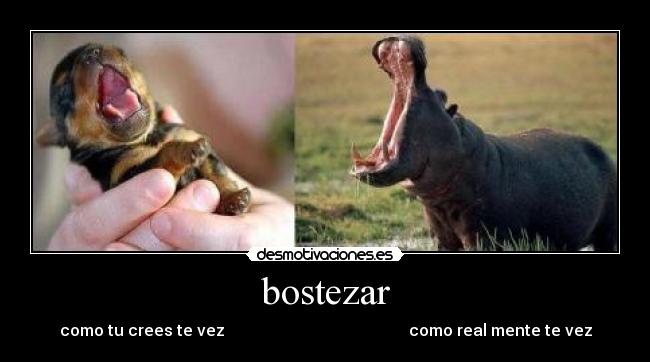 bostezar - como tu crees te vez como real mente te vez