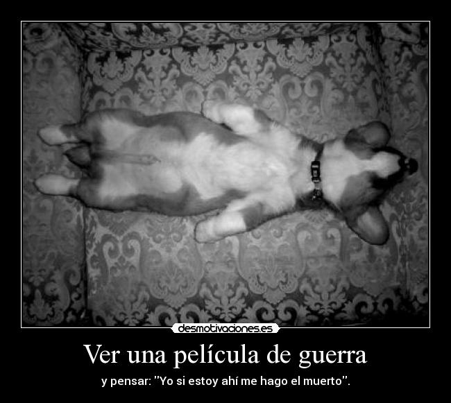 Ver una película de guerra - 