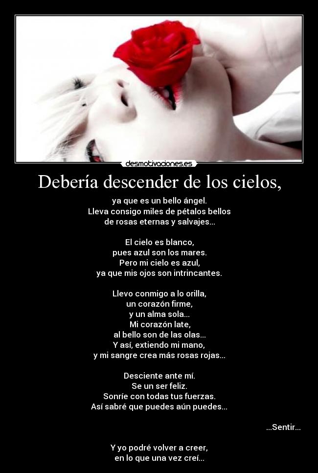 Debería descender de los cielos, - ya que es un bello ángel.
Lleva consigo miles de pétalos bellos
de rosas eternas y salvajes...
El cielo es blanco,
pues azul son los mares.
Pero mi cielo es azul,
ya que mis ojos son intrincantes.
Llevo conmigo a lo orilla,
un corazón firme,
y un alma sola...
Mi corazón late,
al bello son de las olas...
Y así, extiendo mi mano,
y mi sangre crea más rosas rojas...
Desciente ante mí.
Se un ser feliz.
Sonríe con todas tus fuerzas.
Así sabré que puedes aún puedes...
...Sentir...
Y yo podré volver a creer,
en lo que una vez creí...