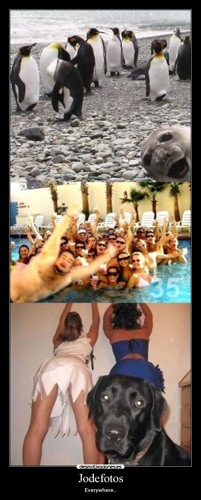 Jodefotos - Everywhere...