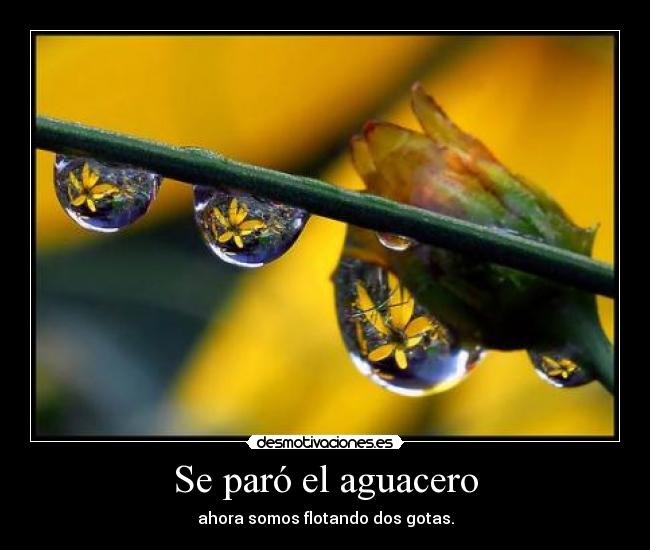 Se paró el aguacero - ahora somos flotando dos gotas.