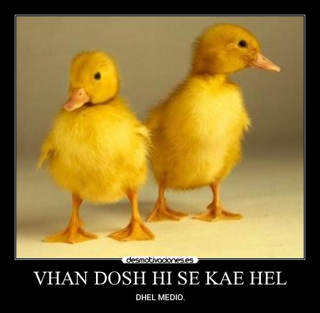 VHAN DOSH HI SE KAE HEL - DHEL MEDIO.