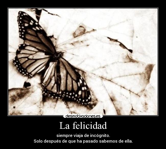 La felicidad - siempre viaja de incógnito.
Solo después de que ha pasado sabemos de ella.
