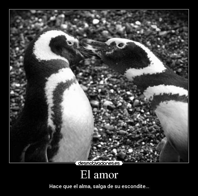 El amor - Hace que el alma, salga de su escondite...