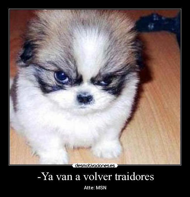 -Ya van a volver traidores -
