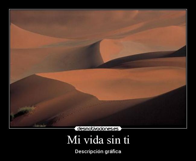 Mi vida sin ti - Descripción gráfica