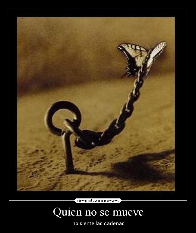 Quien no se mueve - no siente las cadenas