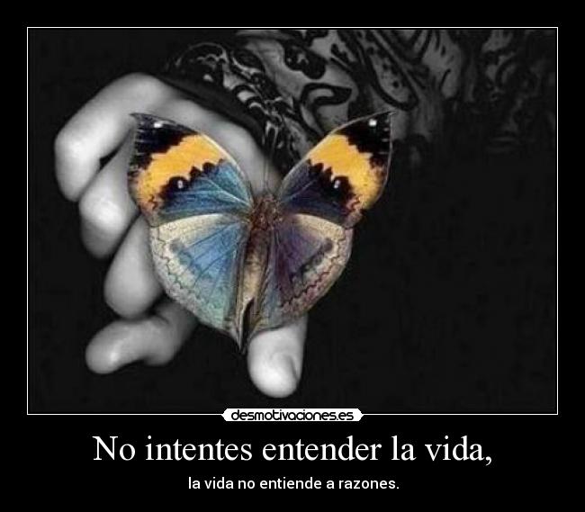 No intentes entender la vida, -
