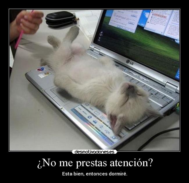 ¿No me prestas atención? - Esta bien, entonces dormiré.