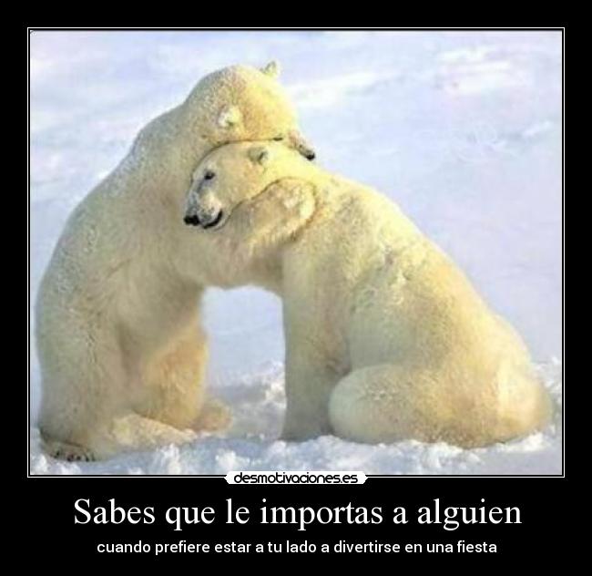 carteles gracias verdad desmotivaciones