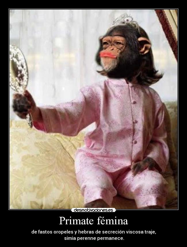 Primate fémina - de fastos oropeles y hebras de secreción viscosa traje,
simia perenne permanece.