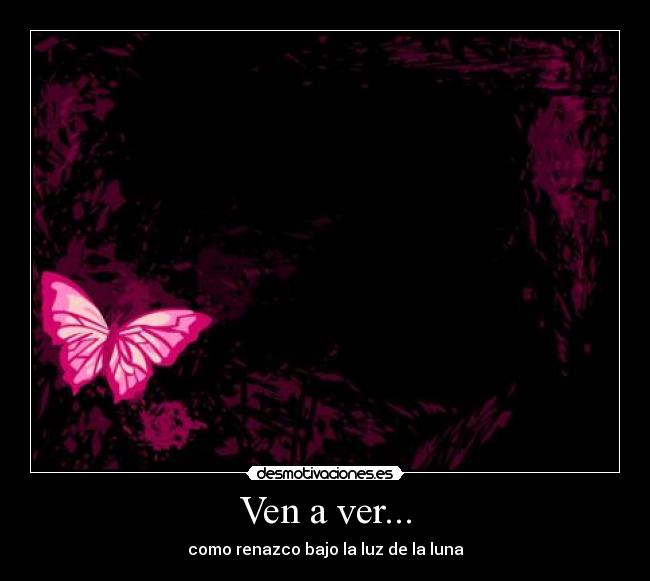 Ven a ver... -
