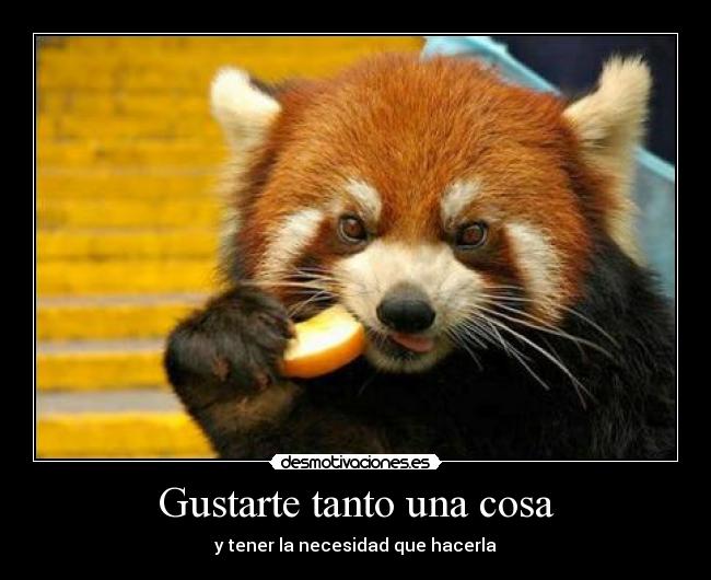 Gustarte tanto una cosa -