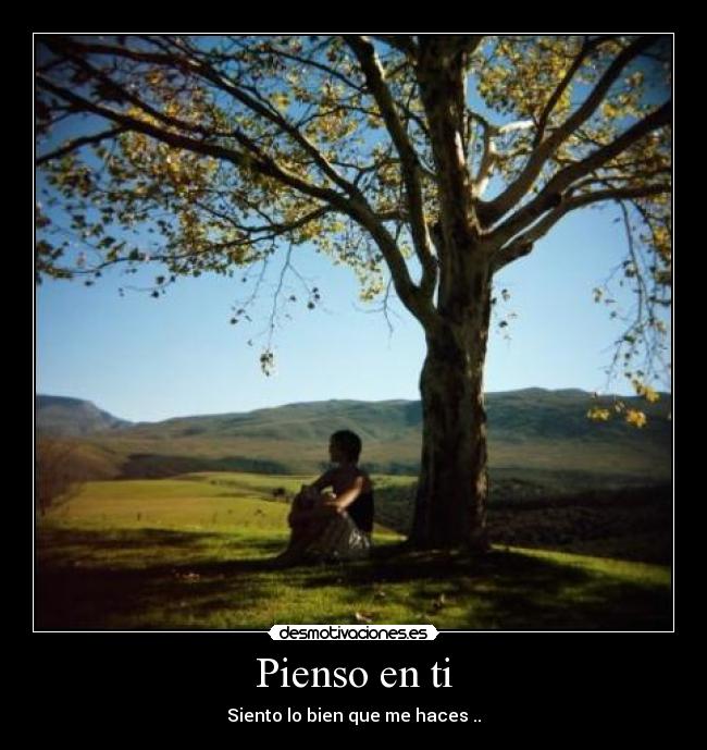 carteles comovos desmotivaciones