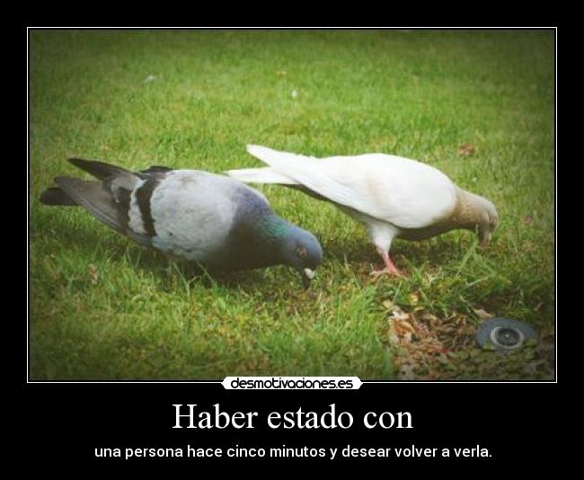 carteles quiero mucho marinilla jiijij desmotivaciones