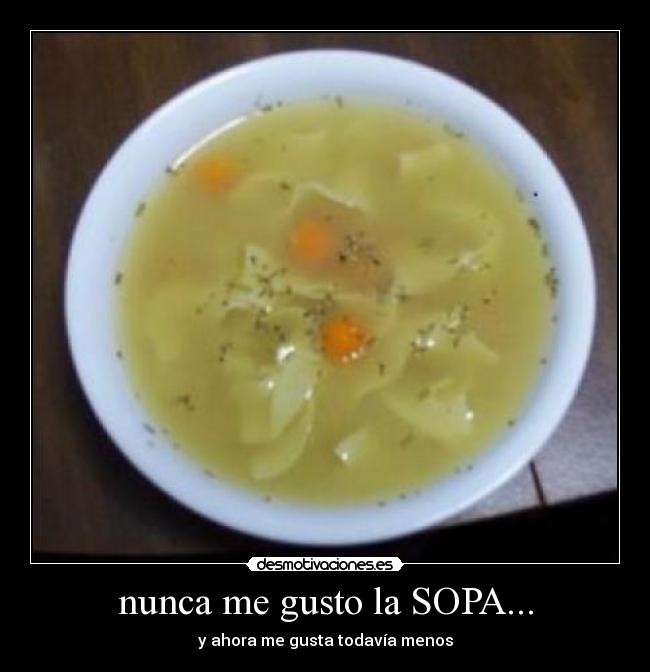 nunca me gusto la SOPA... - y ahora me gusta todavía menos