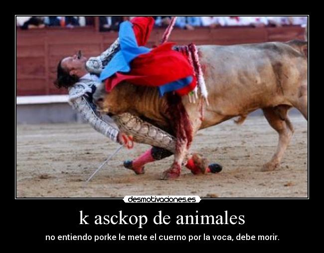k asckop de animales - 