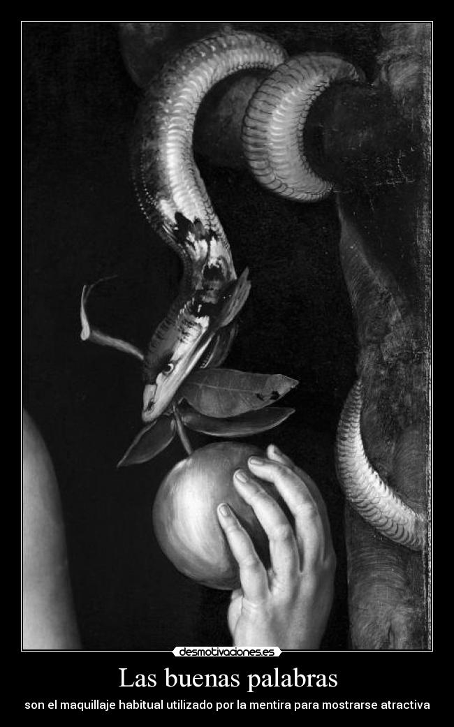 carteles nart habeas corpus bellum veritatis desmotivaciones