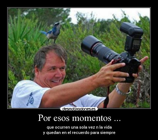 Por esos momentos ... - 