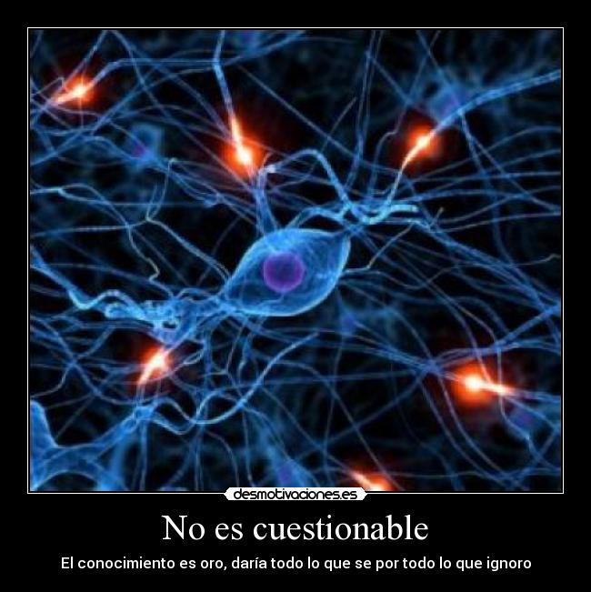 No es cuestionable - 