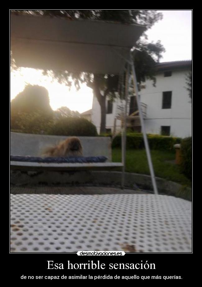 Esa horrible sensación -