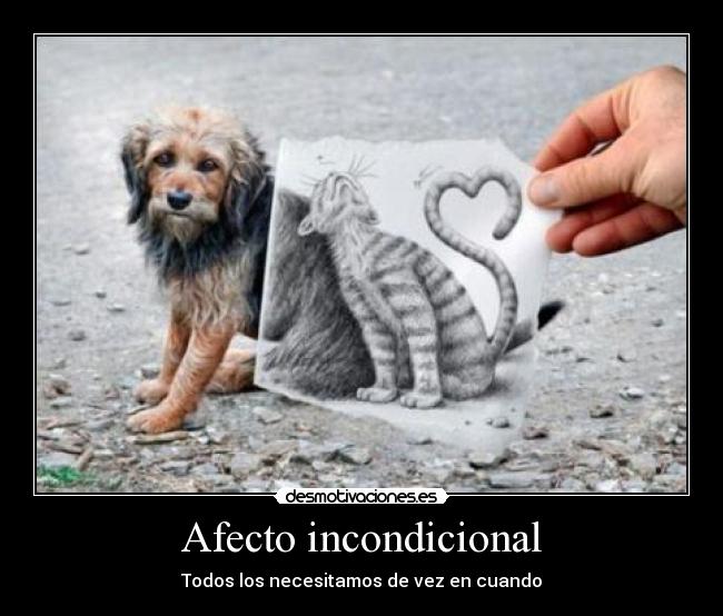 Afecto incondicional - Todos los necesitamos de vez en cuando