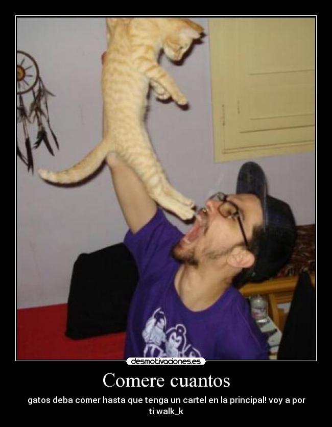Comere cuantos - gatos deba comer hasta que tenga un cartel en la principal! voy a por ti walk_k