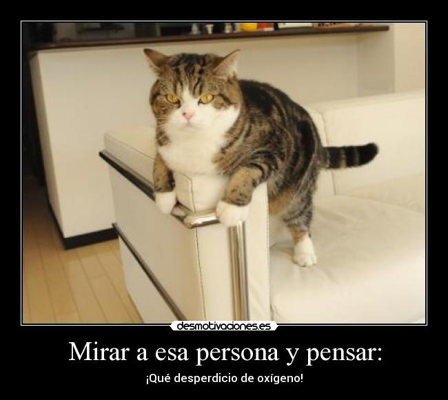 carteles papapitufo desmotivaciones